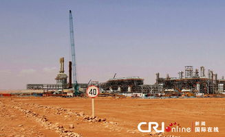 阿尔及利亚遭袭天然气工厂将在未来两天恢复运作